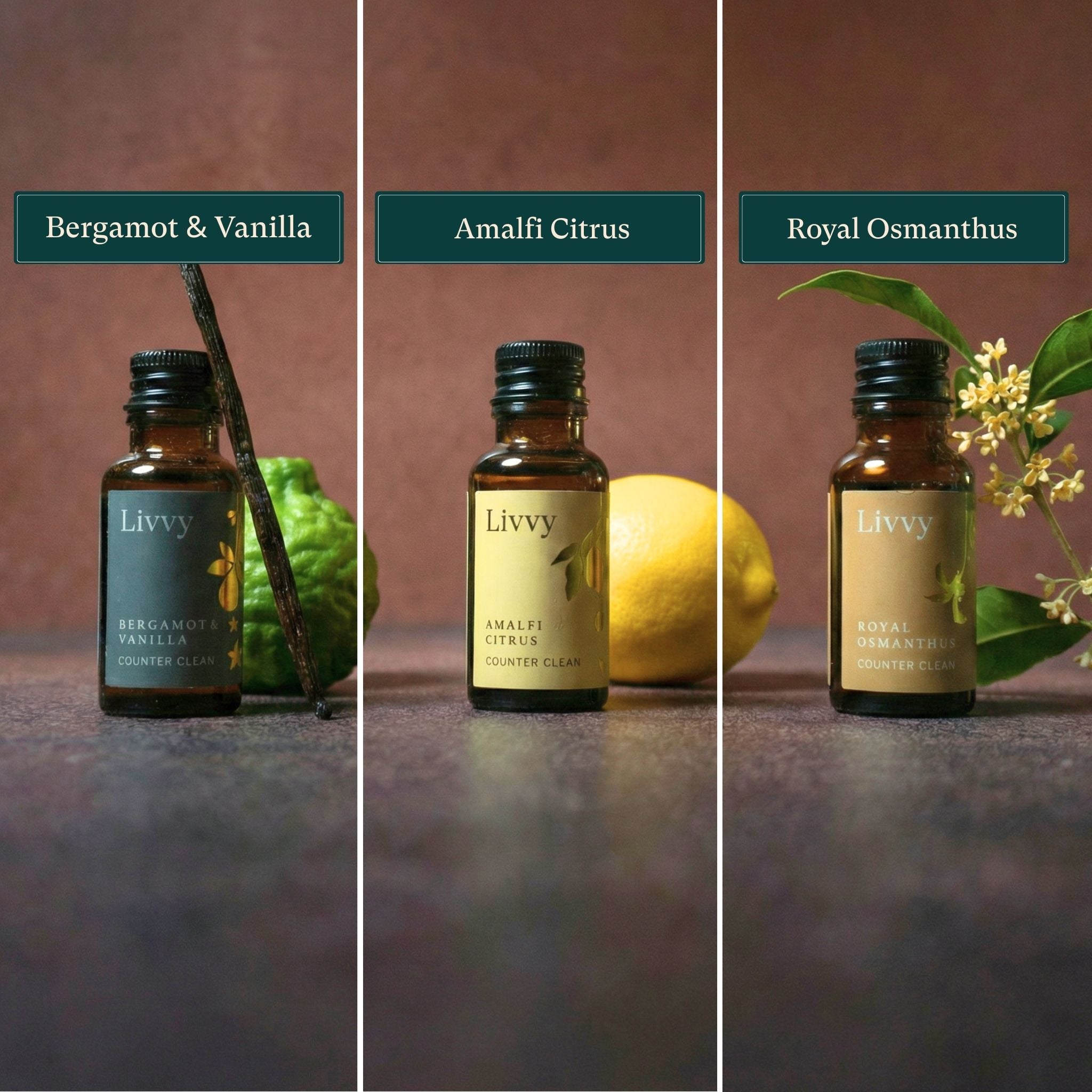 Livvy Counter Clean Starter Kit