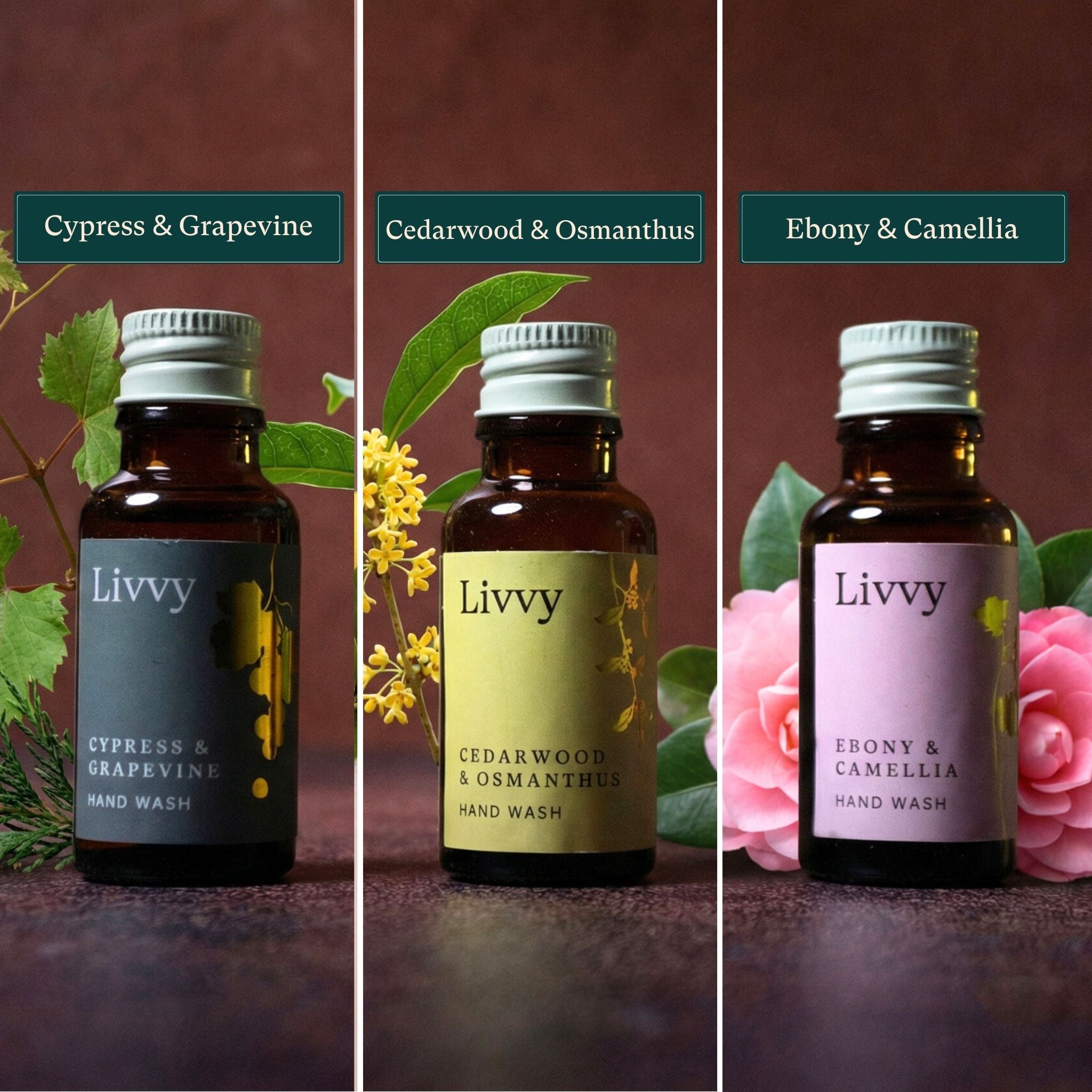 Livvy Hand Wash Starter Kit